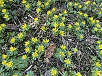 IMG_0616