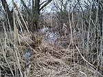 IMG_20230128_164117