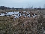 IMG_20230128_164131