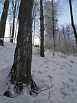 20230204_110806