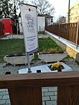 Tűzoltó