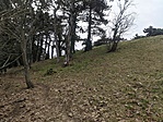 IMG_20230211_155241