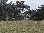 IMG_20230211_155458