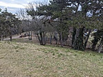 IMG_20230211_155526