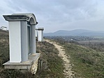 IMG_4311
