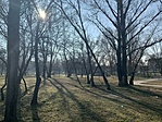 IMG_4565