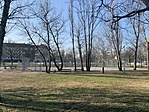 IMG_4567