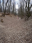 IMG_20230211_140304.jpg