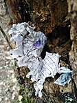 IMG_20230211_090215