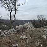 IMG_20230217_121600