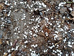 IMG_20230219_141100