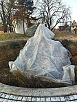 IMG_20230215_162212
