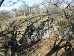 IMG_20230206_135714