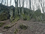 IMG_20230206_161453