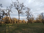 IMG20230202155536