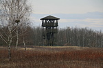 kilátó