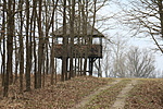 madárles