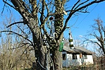 IMG_3159