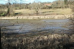 IMG_3155