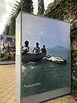 IMG_5911