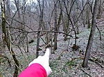 IMG_20230310_163857