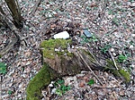 IMG_20230310_163829