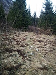 image0