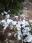 image15