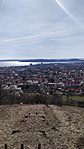 IMG_20230312_114124