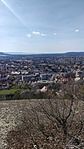 IMG_20230312_114131