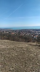 IMG_20230312_115256