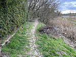 IMG_4994