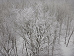 20230129-3704