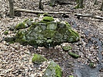 IMG_8650
