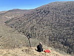 IMG_8875
