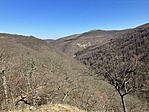 IMG_8874
