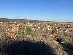 IMG_8895