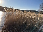 IMG_8904