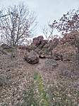 IMG_20230320_150919