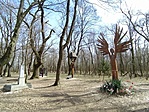 IMG_20230319_114901.jpg