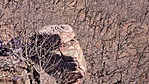 20230317_144814.jpg