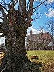 IMG_20230325_153010