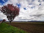 IMG_20230326_120219