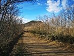 IMG_20230326_164409