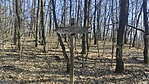 IMG_20230319_094723