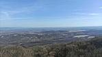 IMG_20230319_100527