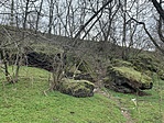 IMG_4596