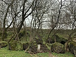 IMG_4600