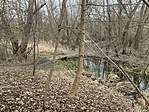 IMG_4611