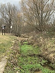 IMG_4614